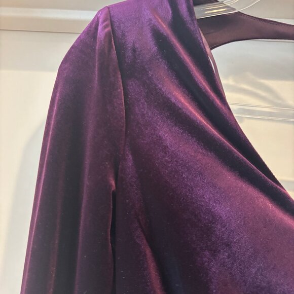 NWOT Eliza J Crushed Velvet Deep Plum Gown Sz 6 - Picture 9 of 10
